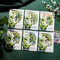5 pcs PET Stickers Decorative Stickers for Journaling, Suitable for Multiple Scenarios, Scrapbook Stickers for Albums