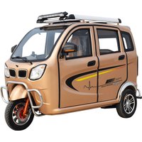 New Style Fully Enclosed Passenger Motor Tricycle Three Wheels Petrol Taxi Motorcycle with Closed Body
