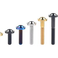 AliExpress Wanyifa Titanium Bolts M5x10 12 15 20 25 30 35mm Hex Socket Head Cap Screw T25 Titanium Alloy Screws for Bicycle and Motorcycle