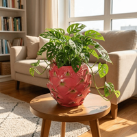 Creative Resin Dragon Fruit Planter Handmade Fruit Shaped Pitaya Flower Pot Decorative Desktop Storage Box Living Room