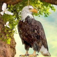 Bird repelleScarer Devices 2D Owl Scarecrow Pendant Garden Protector Decorative Scarer Pendant With Bell Fake Bird Scare Device