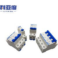 DZ47 Haus MCB mit Anzeige/C Typ Mini-Leistungsschalter/1-4 Pole 6A/10A/16A/20A/32A/40A/50A/63A Haushaltsluftschalter