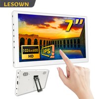 LESOWN 7" LCD Portable Screen (IPS Panel, 1024x600) - Secondary Monitor Small Auxiliary Display for Raspberry Pi Windows PC TV