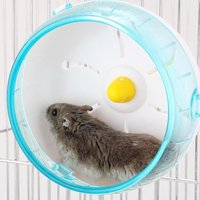 Hamster Running Disc Toy Sport Running Silent Transparent Small Pet Rotatory Jogging Wheel Toys Hamster Cage Accessories