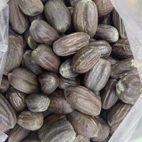 Jojoba seeds Natural Whole Dried Simmondsia Chinensis 10pcs Home Incense DIY Oil Raw Material For Sale