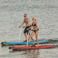Hot Sale Pedal Stand Up Board Water Bike Sup Board Pedal Boat Surfboard
