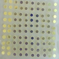 1PCS Transmission Phosphor for White Laser Blue To White Laser Ceramic Sapphire Diameter 3 D5 Mm