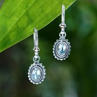 Elegant Temperament Blue Synthetic Zirconia Silvery Floral Dangle Earrings Women's Fashion Exquisite Banquet Anniversary Jewelry