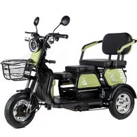 Cheap Price 600W 48V Ebike 3 Wheel Electric Tricycle Long Range Multifunction E-Bike Cargo Electric Bike for Adults