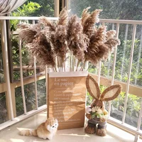Brown Pampas Grass Natural Dried Bouquet Fluffy Living Room Decoration Dried Flowers Boho Wedding Pampas Flower Arrangement
