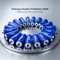 DIANKAISHOU Brandneue, erstklassige 100% LTO 66160K Lithium-Titanat LTO 2.3V 45Ah Yinlong Batterie, streng ausgewählte hochwertige Produkte, niedriger Innenwiderstand 0,20~25mΩ, 10C DIY 12V 24V 48V