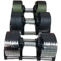 Wholesale Adjustable 10kg-50kg Plastic Dumbbell Set with Custom Logo Silver Barbell for Home Gym Fitness