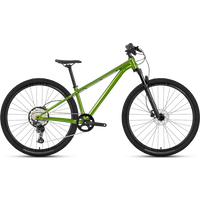 27.5 or 29 Inch 13 Speed Aluminum Dirt Jump Mountain Bike with Premium Hydraulic Disc Brakes