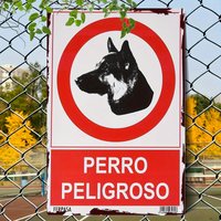 HD Metal Tin Sign Perro Peligroso Warning Wall Decor Retro Spanish Dangerous Dog Sign for Home Yard Fence