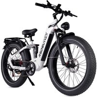 AliExpress NONE RZOGUWEX S9 adult E-bike48V25Ah city ebike battery 20-inch fat tires E-Mountain bike 1000W all-terrain electric bicycle