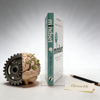 Mindset (Updated Edition) By Dr Carol S. Dweck – Changing The Way You Think To Fulfil Your Potential Psychology Book