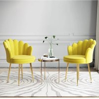 Home Bedroom Dressing Table Stool Cloakroom Dressing Table Chair Home Island Table Restaurant Backrest Dining Chairs