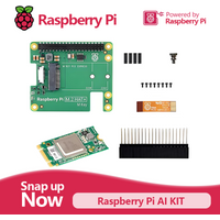 Official Raspberry Pi 5 AI Kit for raspberry pi 5 combines official M.2 HAT Hailo-8L AI accelerator