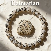 Natural Dalmatian Jasper Beaded Bracelet 6 8 10mm Stone Protection Reiki Vitality Bracelet Lucky Charm Healing Crystal Jewelry
