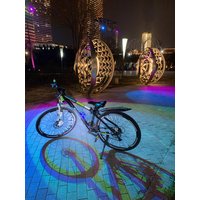 AliExpress NONE Tube Warning Strip 12/24/36Pcs Reflective Mount Clip Bicycle Wheel Spoke Reflector Stripe Steel Wire Lamp Bike Reflector Light