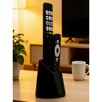 Dual Hole Remote Control Holder Desktop Storage Rack For TV Aircon Light Remotes