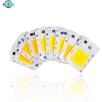 LED COB Chip 10W 20W 30W 50W Led Flood Light Beads AC 110V 220V No Need Driver for Floodlight Spotlight Lampada DIY Lighting