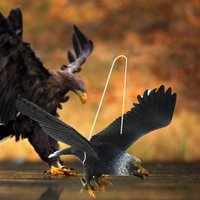 Hot 1 Piece Outdoor Eagle Figurine Hanging Bird Deterrent Plastic Eagle Ornament Vivid Flying Bird Hawk Decoy Garden Scarecrow