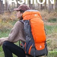 Outdoor Hiking and Camping Backpack, Travel Bag, Large Capacity Sports Bag, 65L