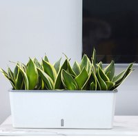 Lazy Twin-Layer Planter Pots Long Strip Double Layer Flower Pot for Indoor Home Garden Accessories