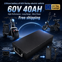 Premium 60V 20Ah/30Ah/40Ah Lithium-Ionen-Akku für Harley Elektromotorräder, geeignet für Motoren unter 3000W.