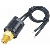 1/4 1/8 12V-220V Small Pressure Switch Valves Multi Purpose Automatic Reset Air Conditioning Refrigeration Control with Wire