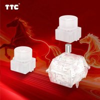 TTC Horse Magnetic Axis RGB Large Round Button Dual Light Position Built-in Sound Mechanical Switch