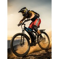 AliExpress DUOTTS C29 Adult Electric Bike 750W Motor EBike 48V15+15Ah Battery E-Bike 29 Inch Tire Electric Bike