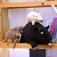 20/40/60CM Stuffed Lifelike Real Mouse Soft Plush Toy Animal Pillow For Birthday Gifts