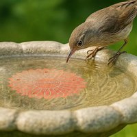 Bird Bath Water Purifier Copper Weatherproof Physical Safe Panel Copper Disk Bird Bath Insert for Homeowners Gardeners Outdoor