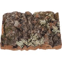 Cork Bark Tree Bark Color Natural Texture Reptile Terrarium Decor Fish Tank Aquarium Background Reptile Supplies