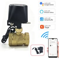 Vanne à bille intelligente Zigbee DN15 DN20 DN25 DN32 DN40, contrôle de robinet par WIFI, minuterie, compatible avec TUYA SmartLife, Alexa et Google Assistant