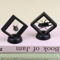 3D Floating Display Frame for Real Insect Specimen Taxidermy Museum School Biologist Desktop Decor