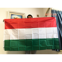 SKY FLAG Hungary Flag 90x150cm The Hungarian hanging polyester flags Hungary flags and Indoor outdoor decoration