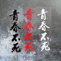 AliExpress NONE 1PC Youth Never Dies Chinese Calligraphy Sticker 3 Color Waterproof Vinyl Decal