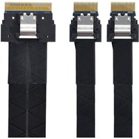 Slim SAS 4.0 SFF-8654 8i 74Pin To 2 X SFF-8654 4i SAS Server Array Data Cables One Divided Into Two 50cm