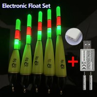 Bite Float New 2PCS Electronic Float with CR425 Rechargeable Set Fishing Night Light High visibility Carp Bold tail design