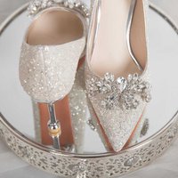 2025 Spring Autumn Silver Engagement Wedding Dress Crystal Shiny Wedding Shoes High Heels Thin Heel Bride Shoes Elegant Style