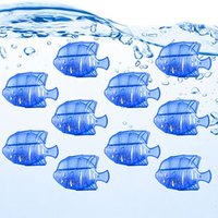 10pcs Blue Humidifier Tank Cleaner Cleaning Filtration Demineralization Cleaning Ball Fish-blue Compatible Tank Cleaning Fish