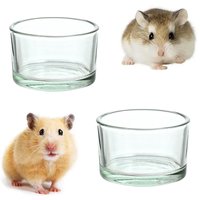 Hamster Food Bowl Transparent Glass Dish Hamster Feeding Dish and Water Bowl Small Pets Feeder Pet Supplies