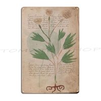 Voynich Manuscript Book Cover Illustrated Codex Green And Yellow Leaves Metal Sign Club Club Home Cave Design Tin Sign Poster