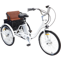 24 Zoll ältere elektrische Dreirad 2 Sitz für Familie mit Zugkorb 350 W 48 V Eltern-Kind-Elektro-Booster-Fahrrad Erwachsene Frauen