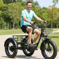 Fat Tire Electric Bicycle 20 Inch 3 Wheel Electric Cargo Bike For Adults Women Men Powerful 48V Lithium Battery Removable
