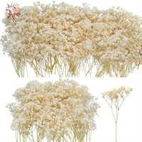 Mini Dried Gypsophila Flower DIY Aromatherapy Candle Material Home Decor Eternal Flowers Baby Breath Embellish Gift 100pcs Boxed