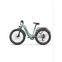 AliExpress NONE JOOBIKE Adult Electric Bicycle 1000W Motor Men's E-Mountain Bike 26